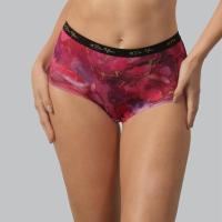 Shaping Panties